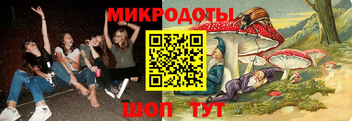 Псилоцибиновые грибы Psilocybe Геленджик